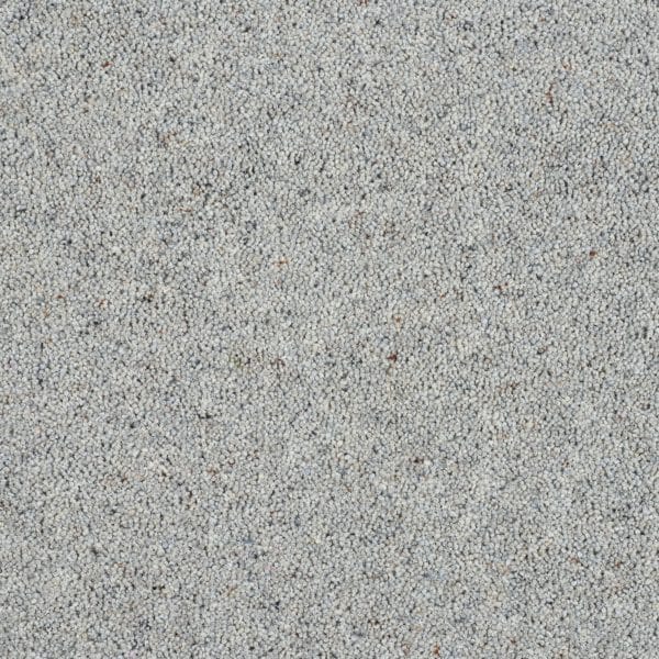 Dolphin Grey