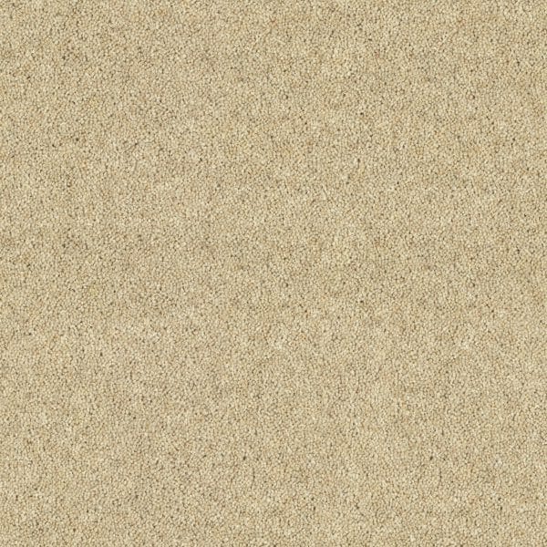 Drop Cloth