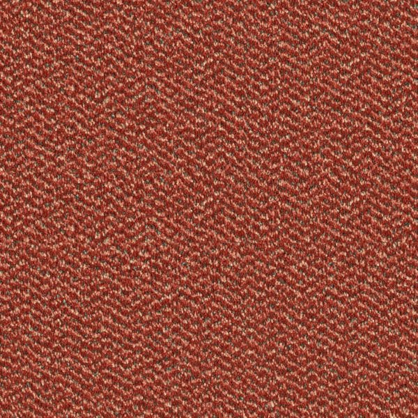 Cinnamon