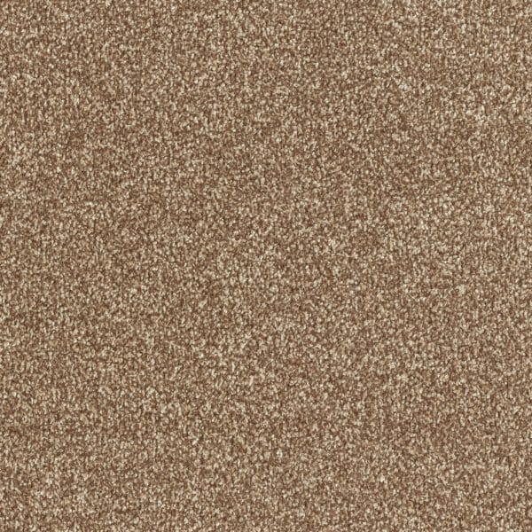 Cocoa Mist