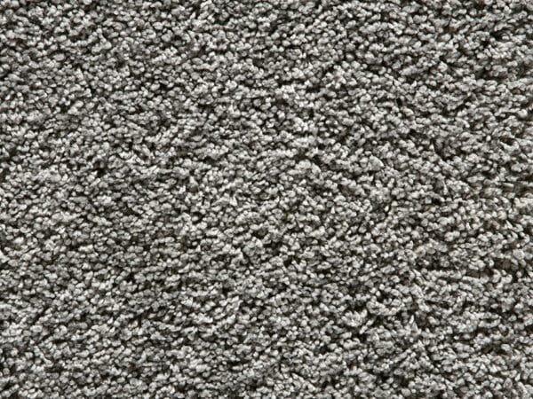 Whale Grey