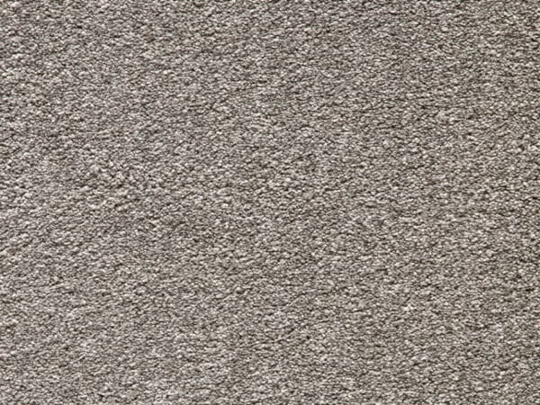 Seal Grey