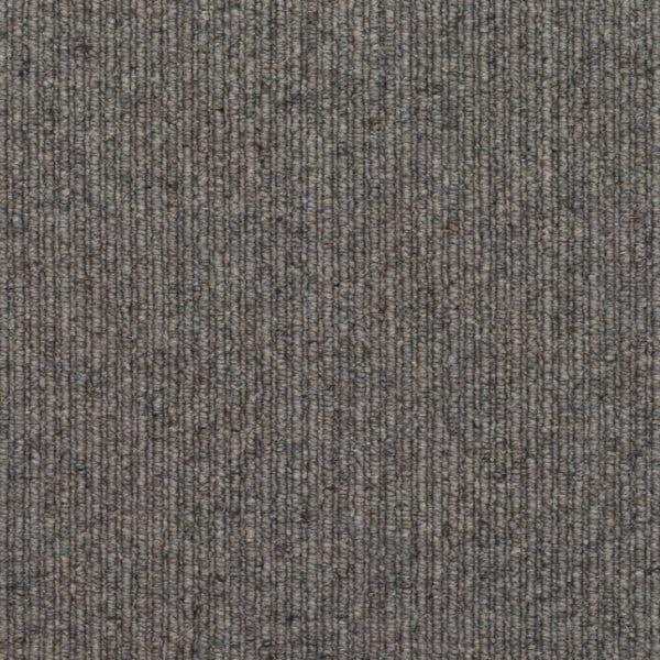 Grey Dolphin