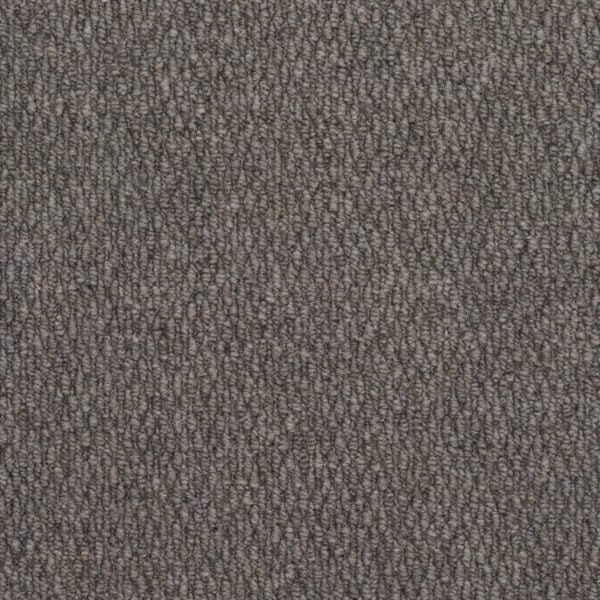 Grey Dolphin