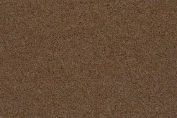 Copper Blush