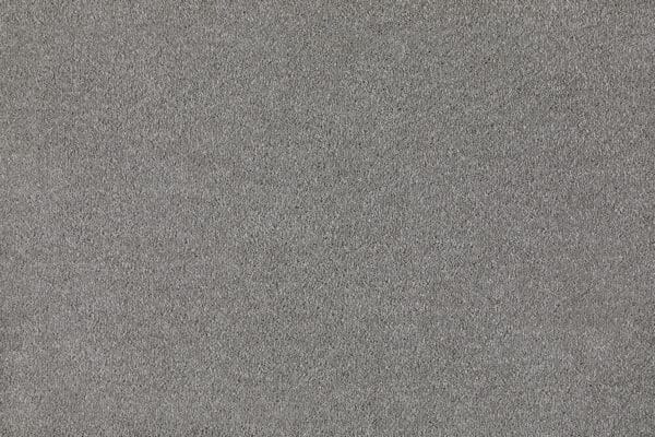 Shark Skin