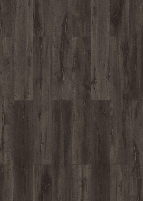Black Oak