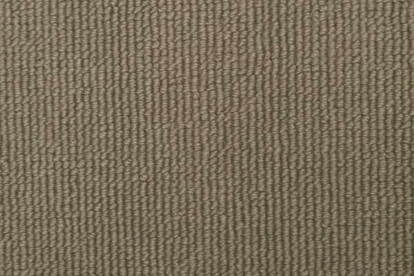 Pampas 2705