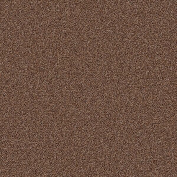 Hickory