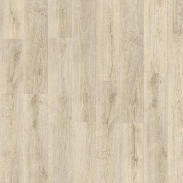 Hollister Oak