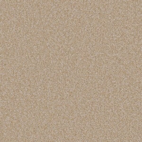 Sahara Shadow