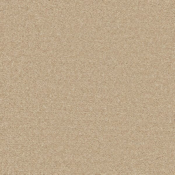 Clouded Beige