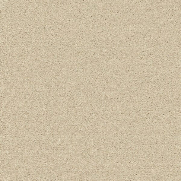 Cryptic Wood