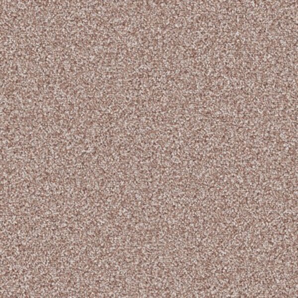 Partridge