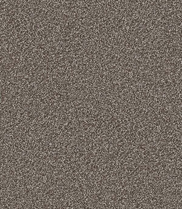 Fossil Stone