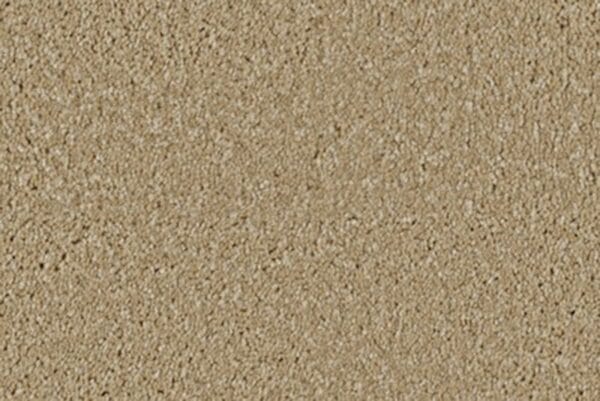 Flax