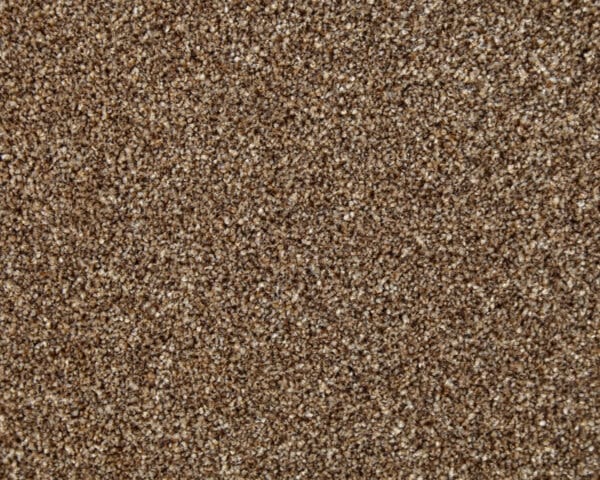 Pecan