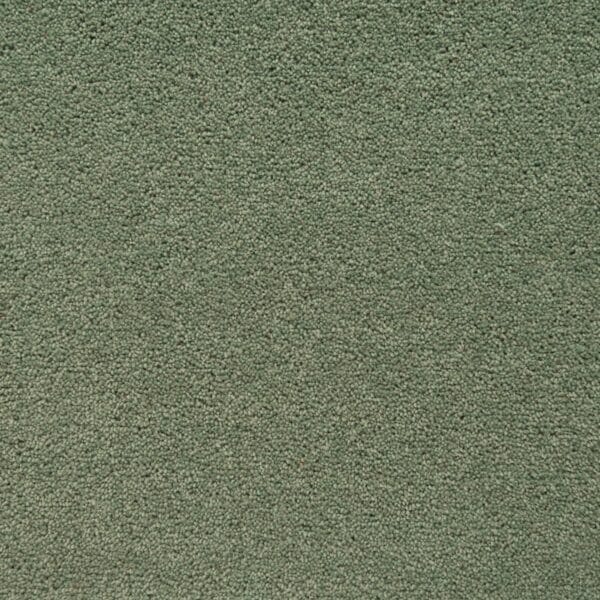Eucalyptus