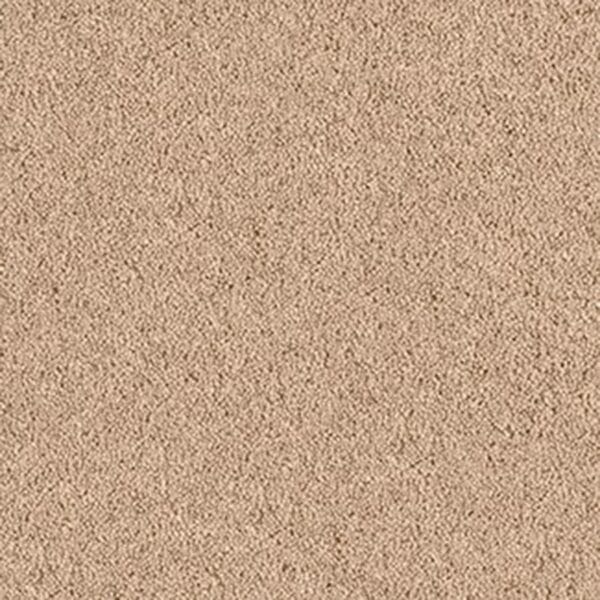 Cocoa Mist