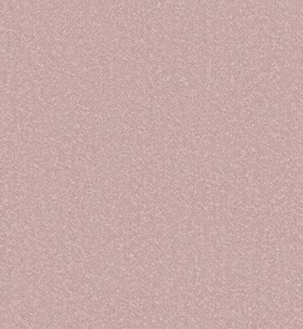 Soft Truffle