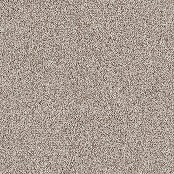 Muslin Birch