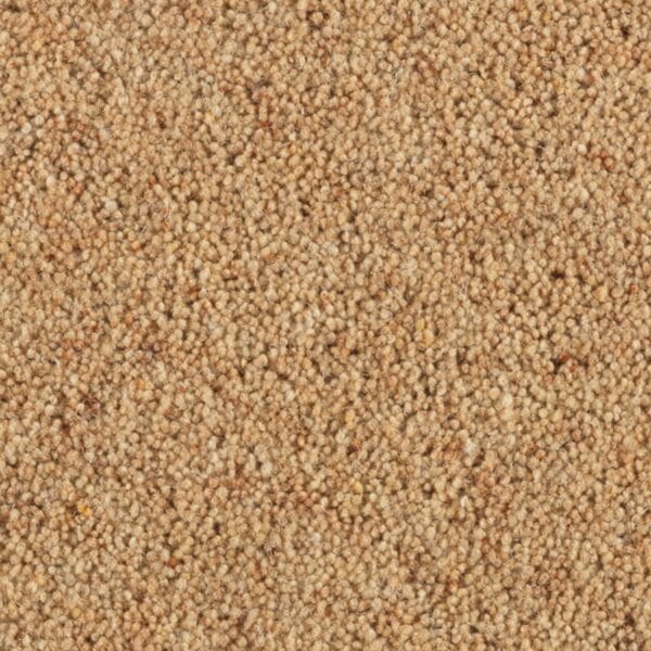 Arrowroot