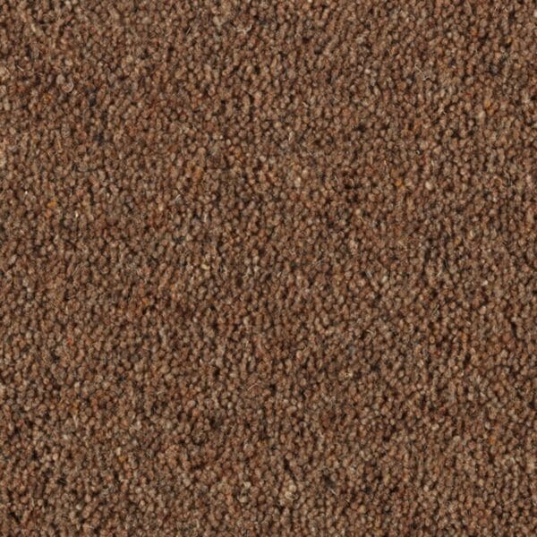 Hickory