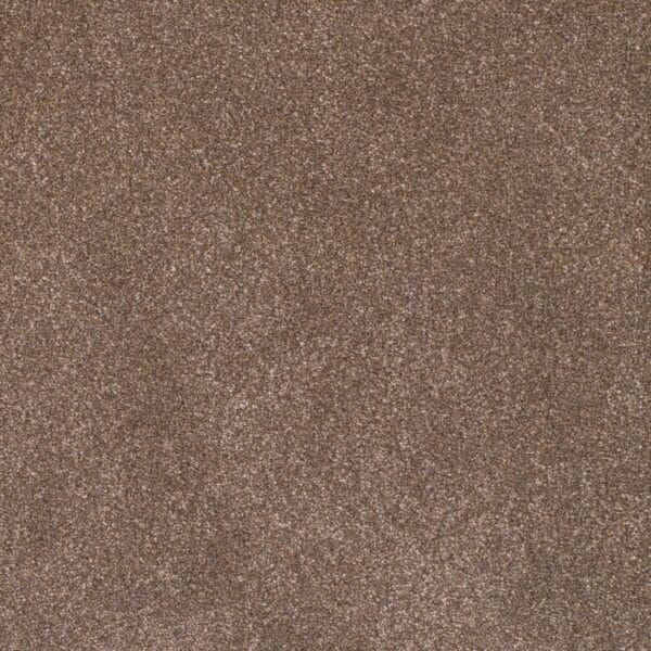 Sahara