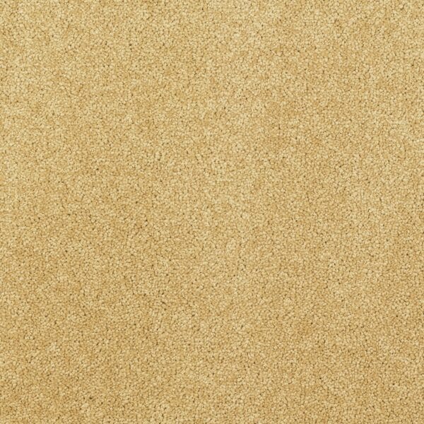 Sand Dune
