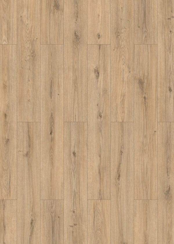 Sand Oak