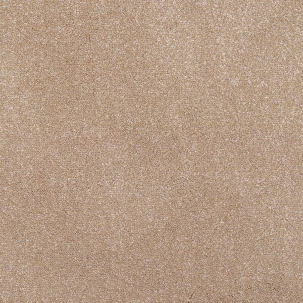 Shingle