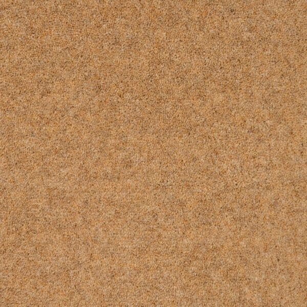 Aran
