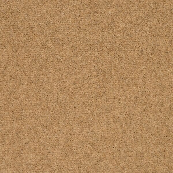 Sesame