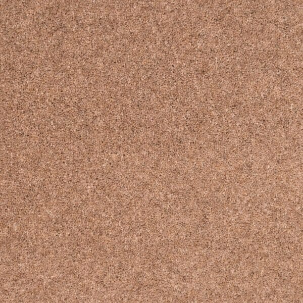 Teak