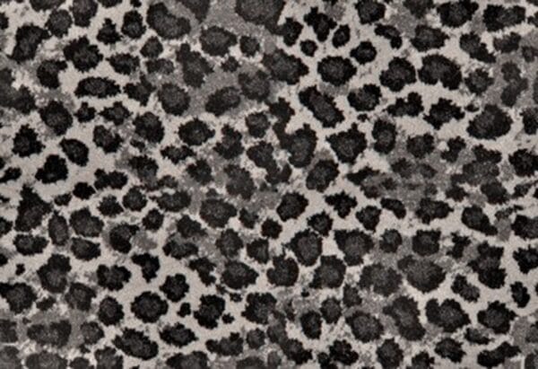 Ice Leopard