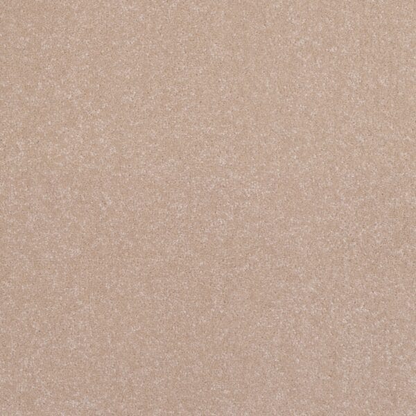 Tissue