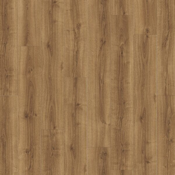 Wheatland Oak