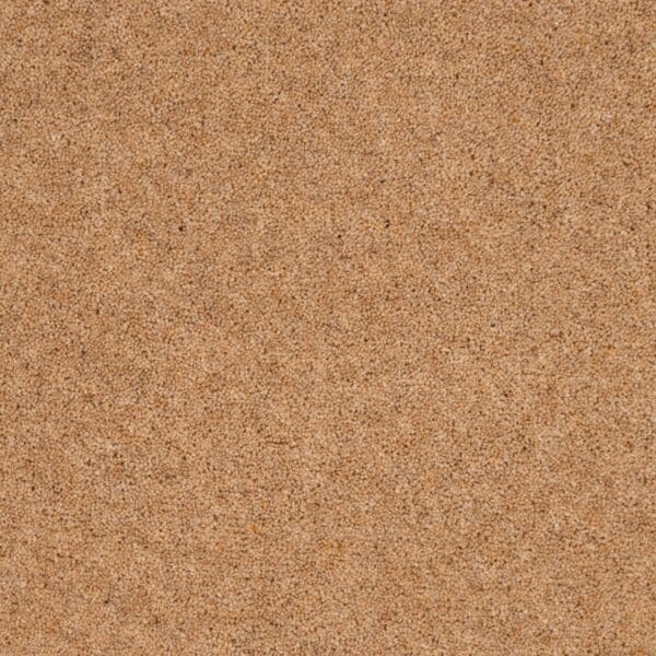Prairie