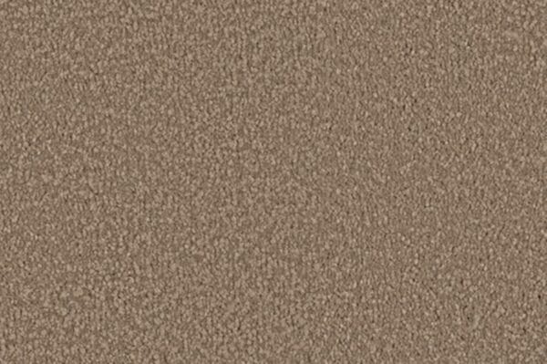 Olive Brown