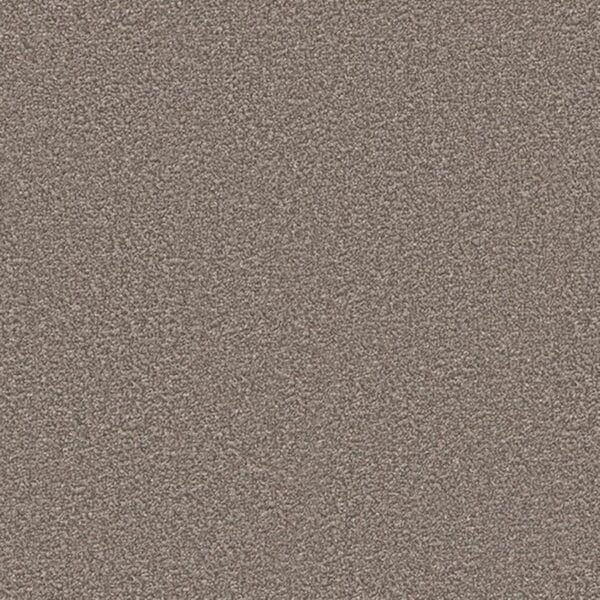 Alpine Grey