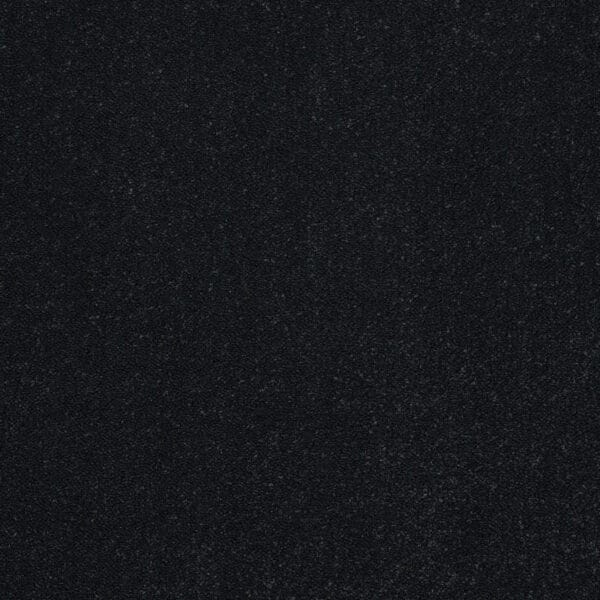 BLACK RAVEN