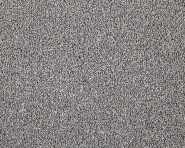 Dapple Grey