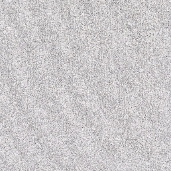 Snow Goose