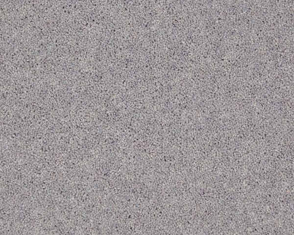 Dove Grey