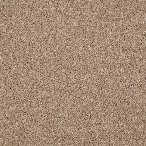 Fordham Flax