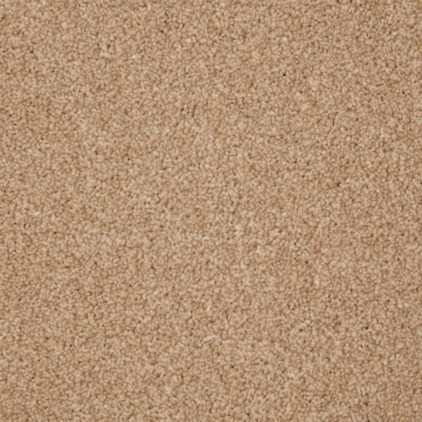 Wheat Husk