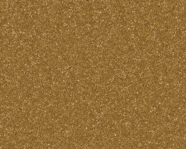 Midas Touch