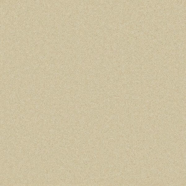 Egyptian Cotton