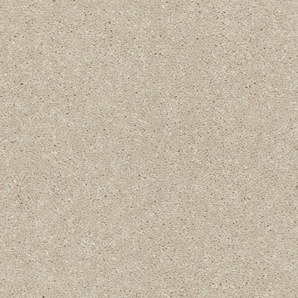 Aniseed