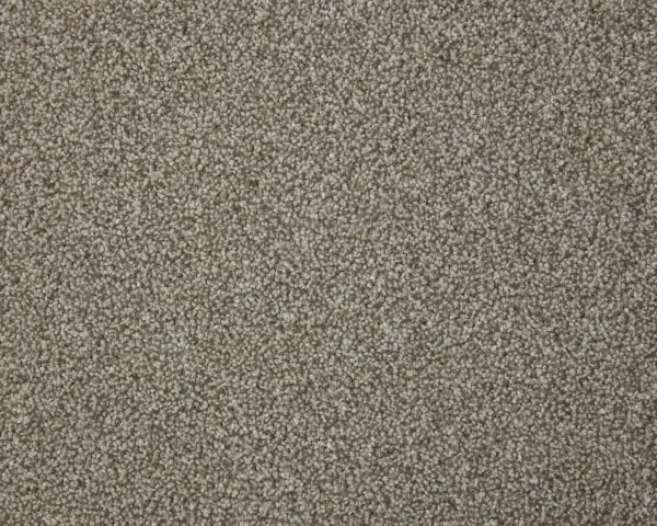 Dance Floor
